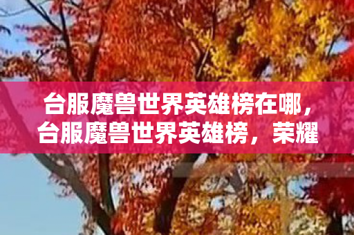 台服魔兽世界英雄榜在哪,台服魔兽世界英雄榜,荣耀与传奇的见证 台服魔兽世界英雄榜在哪,台服魔兽世界英雄榜,荣耀与传奇的见证