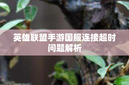 英雄联盟手游国服连接超时问题解析 英雄联盟手游国服连接超时问题解析
