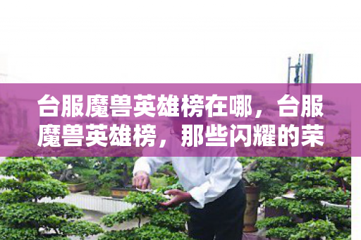 台服魔兽英雄榜在哪,台服魔兽英雄榜,那些闪耀的荣耀瞬间 台服魔兽英雄榜在哪,台服魔兽英雄榜,那些闪耀的荣耀瞬间