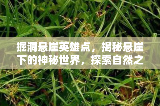 掘洞悬崖英雄点,揭秘悬崖下的神秘世界,探索自然之力的杰作与未知之谜 掘洞悬崖英雄点,揭秘悬崖下的神秘世界,探索自然之力的杰作与未知之谜