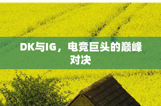 DK与IG,电竞巨头的巅峰对决 DK与IG,电竞巨头的巅峰对决