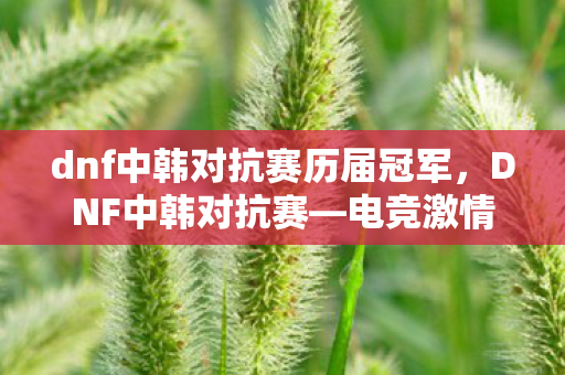 dnf中韩对抗赛历届冠军,DNF中韩对抗赛—电竞激情的碰撞 dnf中韩对抗赛历届冠军,DNF中韩对抗赛—电竞激情的碰撞