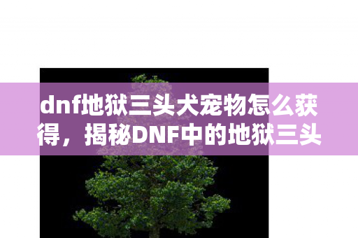 dnf地狱三头犬宠物怎么获得，揭秘DNF中的地狱三头犬，神秘生物的故事与攻略