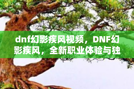 dnf幻影疾风视频,DNF幻影疾风,全新职业体验与独特玩法解析 dnf幻影疾风视频,DNF幻影疾风,全新职业体验与独特玩法解析