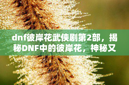 dnf彼岸花武侠剧第2部,揭秘DNF中的彼岸花,神秘又强大的存在 dnf彼岸花武侠剧第2部,揭秘DNF中的彼岸花,神秘又强大的存在