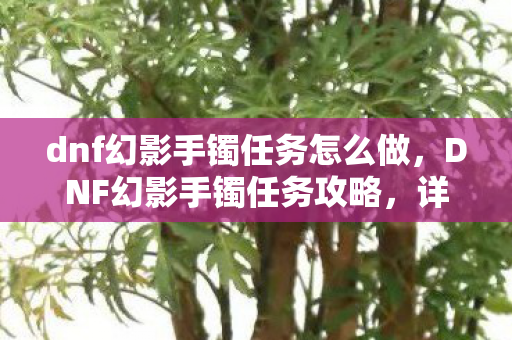 dnf幻影手镯任务怎么做,DNF幻影手镯任务攻略,详细步骤与技巧解析 dnf幻影手镯任务怎么做,DNF幻影手镯任务攻略,详细步骤与技巧解析