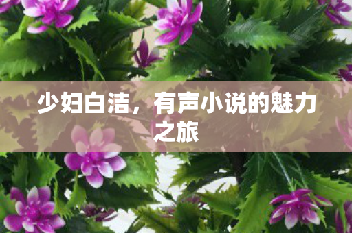 少妇白洁,有声小说的魅力之旅 少妇白洁,有声小说的魅力之旅