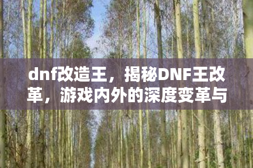 dnf改造王,揭秘DNF王改革,游戏内外的深度变革与创新策略 dnf改造王,揭秘DNF王改革,游戏内外的深度变革与创新策略