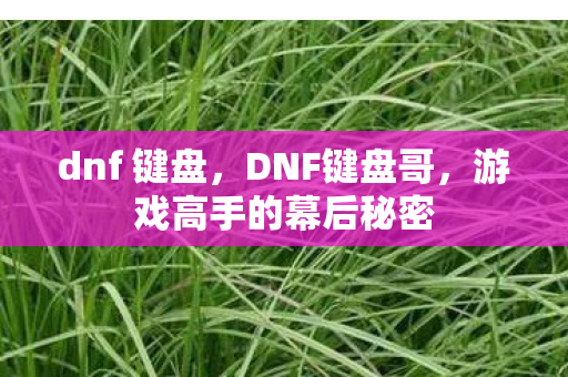 dnf 键盘,DNF键盘哥,游戏高手的幕后秘密 dnf 键盘,DNF键盘哥,游戏高手的幕后秘密