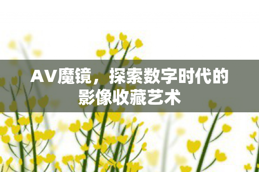 AV魔镜，探索数字时代的影像收藏艺术