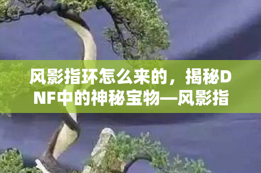 风影指环怎么来的,揭秘DNF中的神秘宝物—风影指环 风影指环怎么来的,揭秘DNF中的神秘宝物—风影指环