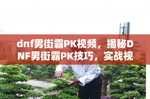 dnf男街霸PK视频,揭秘DNF男街霸PK技巧,实战视频解析与攻略心得分享 dnf男街霸PK视频,揭秘DNF男街霸PK技巧,实战视频解析与攻略心得分享