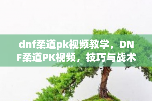dnf柔道pk视频教学，DNF柔道PK视频，技巧与战术的较量