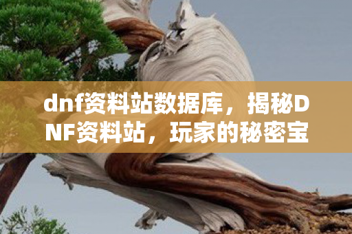 dnf资料站数据库,揭秘DNF资料站,玩家的秘密宝库与成长指南 dnf资料站数据库,揭秘DNF资料站,玩家的秘密宝库与成长指南