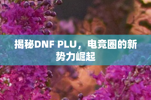 揭秘DNF PLU,电竞圈的新势力崛起 揭秘DNF PLU,电竞圈的新势力崛起