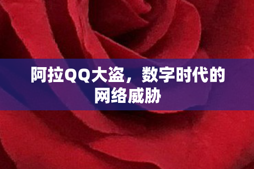 阿拉QQ大盗,数字时代的网络威胁 阿拉QQ大盗,数字时代的网络威胁