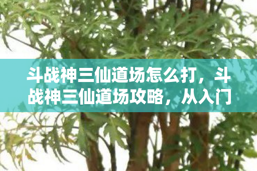 斗战神三仙道场怎么打，斗战神三仙道场攻略，从入门到精通