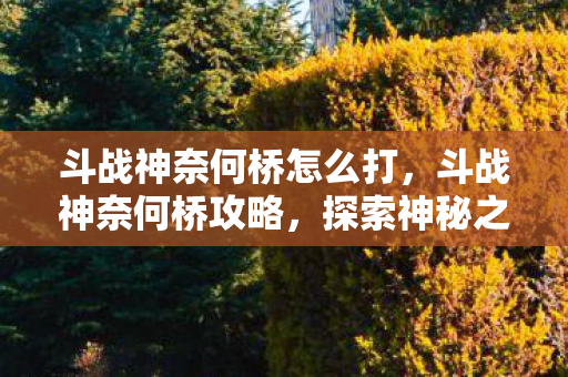 斗战神奈何桥怎么打，斗战神奈何桥攻略，探索神秘之地，挑战未知之境