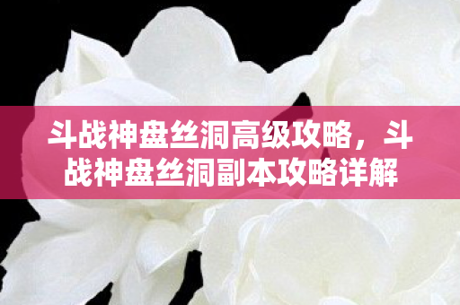 斗战神盘丝洞高级攻略,斗战神盘丝洞副本攻略详解 斗战神盘丝洞高级攻略,斗战神盘丝洞副本攻略详解