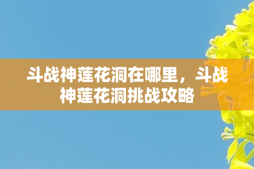 斗战神莲花洞在哪里,斗战神莲花洞挑战攻略 斗战神莲花洞在哪里,斗战神莲花洞挑战攻略