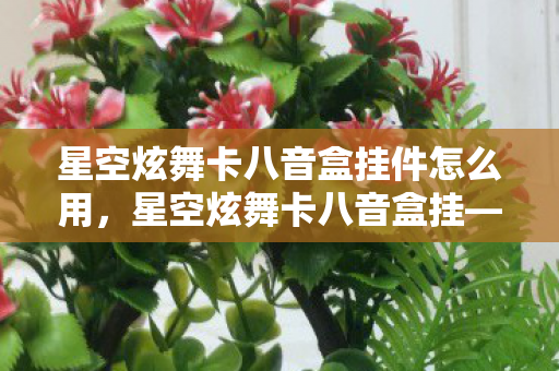 星空炫舞卡八音盒挂件怎么用,星空炫舞卡八音盒挂—梦幻旋律中的珍藏记忆 星空炫舞卡八音盒挂件怎么用,星空炫舞卡八音盒挂—梦幻旋律中的珍藏记忆