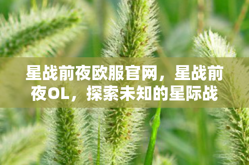 星战前夜欧服官网,星战前夜OL,探索未知的星际战场 星战前夜欧服官网,星战前夜OL,探索未知的星际战场