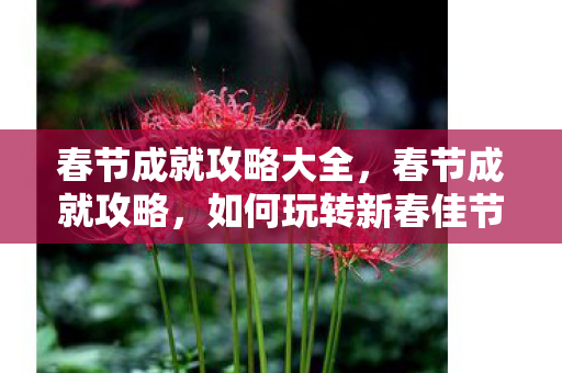 春节成就攻略大全,春节成就攻略,如何玩转新春佳节? 春节成就攻略大全,春节成就攻略,如何玩转新春佳节?