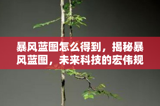 暴风蓝图怎么得到，揭秘暴风蓝图，未来科技的宏伟规划