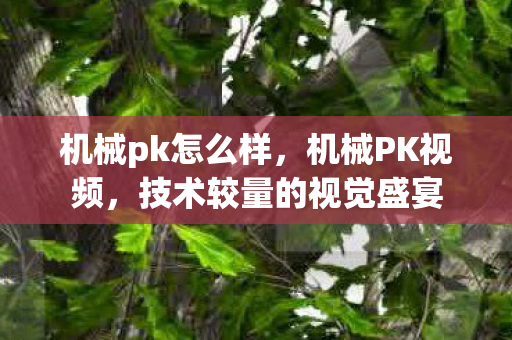 机械pk怎么样，机械PK视频，技术较量的视觉盛宴