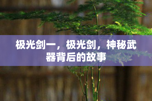 极光剑一,极光剑,神秘武器背后的故事 极光剑一,极光剑,神秘武器背后的故事