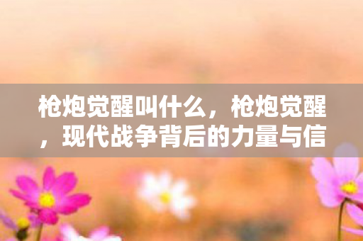 枪炮觉醒叫什么，枪炮觉醒，现代战争背后的力量与信仰重塑