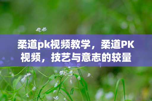 柔道pk视频教学,柔道PK视频,技艺与意志的较量 柔道pk视频教学,柔道PK视频,技艺与意志的较量