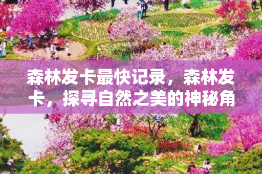 森林发卡最快记录，森林发卡，探寻自然之美的神秘角落
