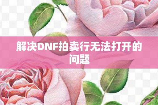 解决DNF拍卖行无法打开的问题 解决DNF拍卖行无法打开的问题