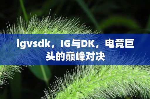 igvsdk，IG与DK，电竞巨头的巅峰对决