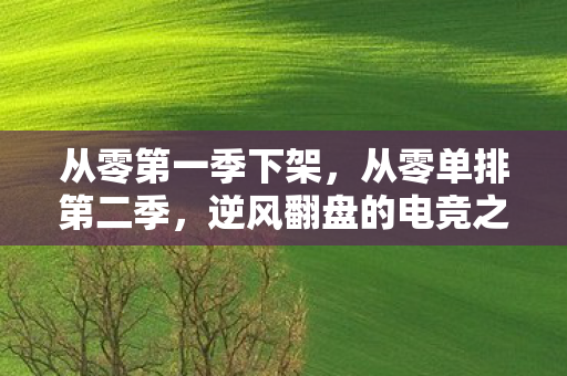 从零第一季下架,从零单排第二季,逆风翻盘的电竞之路 从零第一季下架,从零单排第二季,逆风翻盘的电竞之路
