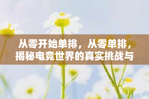 从零开始单排,从零单排,揭秘电竞世界的真实挑战与成长之路 从零开始单排,从零单排,揭秘电竞世界的真实挑战与成长之路