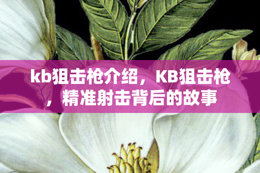 kb狙击枪介绍,KB狙击枪,精准射击背后的故事 kb狙击枪介绍,KB狙击枪,精准射击背后的故事