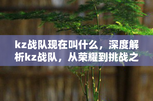 kz战队现在叫什么,深度解析kz战队,从荣耀到挑战之路的历程 kz战队现在叫什么,深度解析kz战队,从荣耀到挑战之路的历程