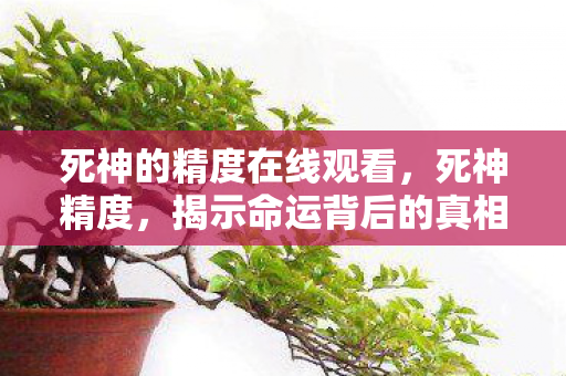 死神的精度在线观看,死神精度,揭示命运背后的真相与力量 死神的精度在线观看,死神精度,揭示命运背后的真相与力量