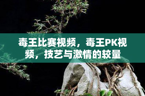 毒王比赛视频,毒王PK视频,技艺与激情的较量 毒王比赛视频,毒王PK视频,技艺与激情的较量