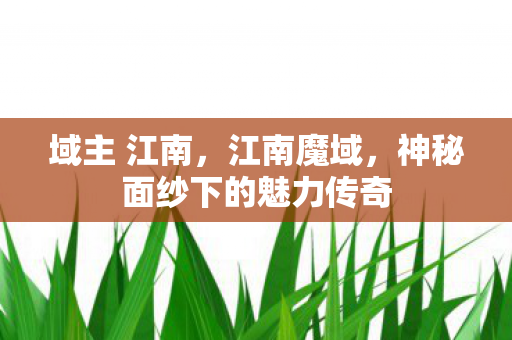 域主 江南,江南魔域,神秘面纱下的魅力传奇 域主 江南,江南魔域,神秘面纱下的魅力传奇
