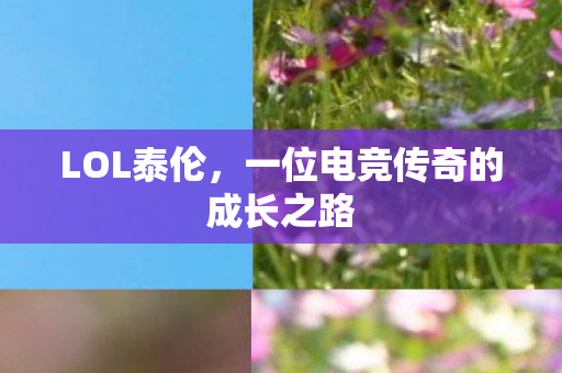 LOL泰伦,一位电竞传奇的成长之路 LOL泰伦,一位电竞传奇的成长之路