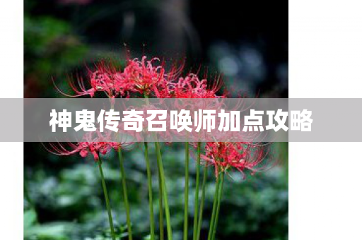 神鬼传奇召唤师加点攻略 神鬼传奇召唤师加点攻略