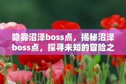 隐雾沼泽boss点，揭秘沼泽boss点，探寻未知的冒险之旅