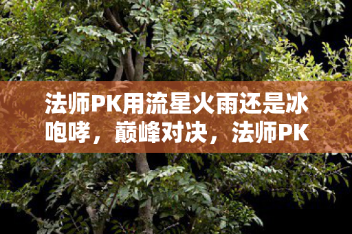 法师PK用流星火雨还是冰咆哮，巅峰对决，法师PK的全面解析