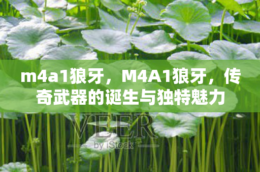 m4a1狼牙,M4A1狼牙,传奇武器的诞生与独特魅力 m4a1狼牙,M4A1狼牙,传奇武器的诞生与独特魅力
