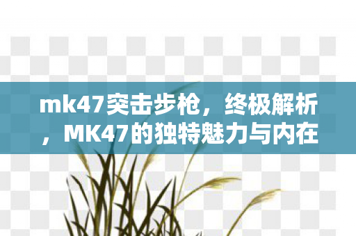 mk47突击步枪,终极解析,MK47的独特魅力与内在价值 mk47突击步枪,终极解析,MK47的独特魅力与内在价值