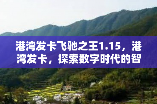 港湾发卡飞驰之王1.15,港湾发卡,探索数字时代的智慧物流新路径 港湾发卡飞驰之王1.15,港湾发卡,探索数字时代的智慧物流新路径