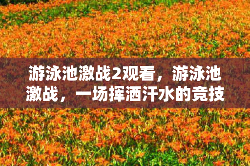 游泳池激战2观看,游泳池激战,一场挥洒汗水的竞技盛宴 游泳池激战2观看,游泳池激战,一场挥洒汗水的竞技盛宴